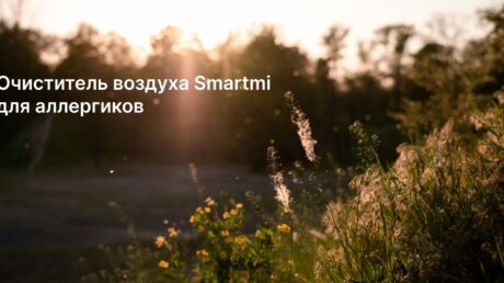 Очиститель воздуха Smartmi для аллергиков: выбор и ключевые особенности