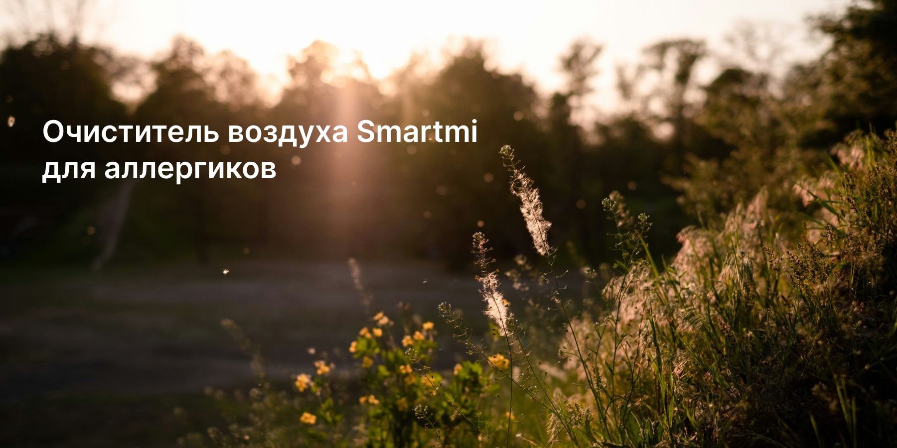 Очиститель воздуха Smartmi для аллергиков: выбор и ключевые особенности