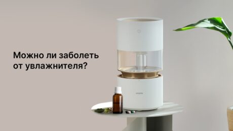 Можно ли заболеть от увлажнителя воздуха: мифы и реальные риски