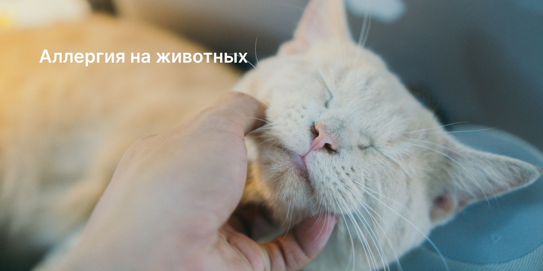 Природа аллергии на животных и механизм ее развития