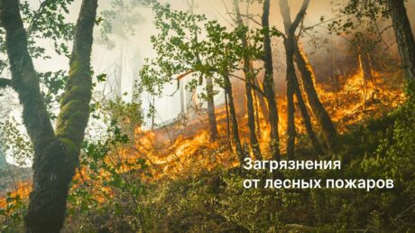 Очиститель воздуха Smartmi как спасение от загрязнений в доме во время лесных пожаров