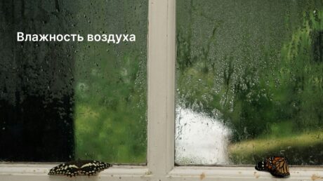 Влажность воздуха в помещении: влияние на здоровье и комфорт