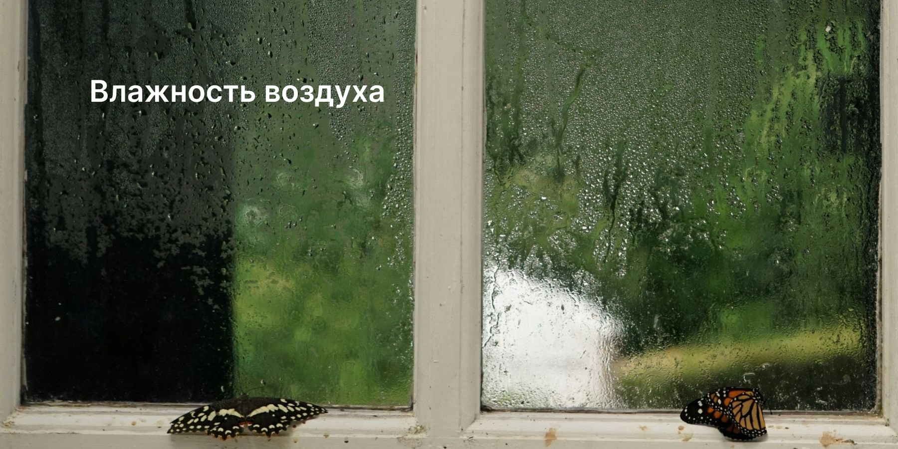 Влажность воздуха в помещении: влияние на здоровье и комфорт