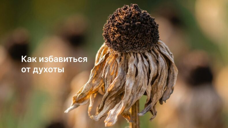 Что такое духота и как с ней справиться