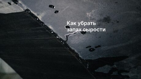 Как навсегда избавиться от запаха сырости в доме