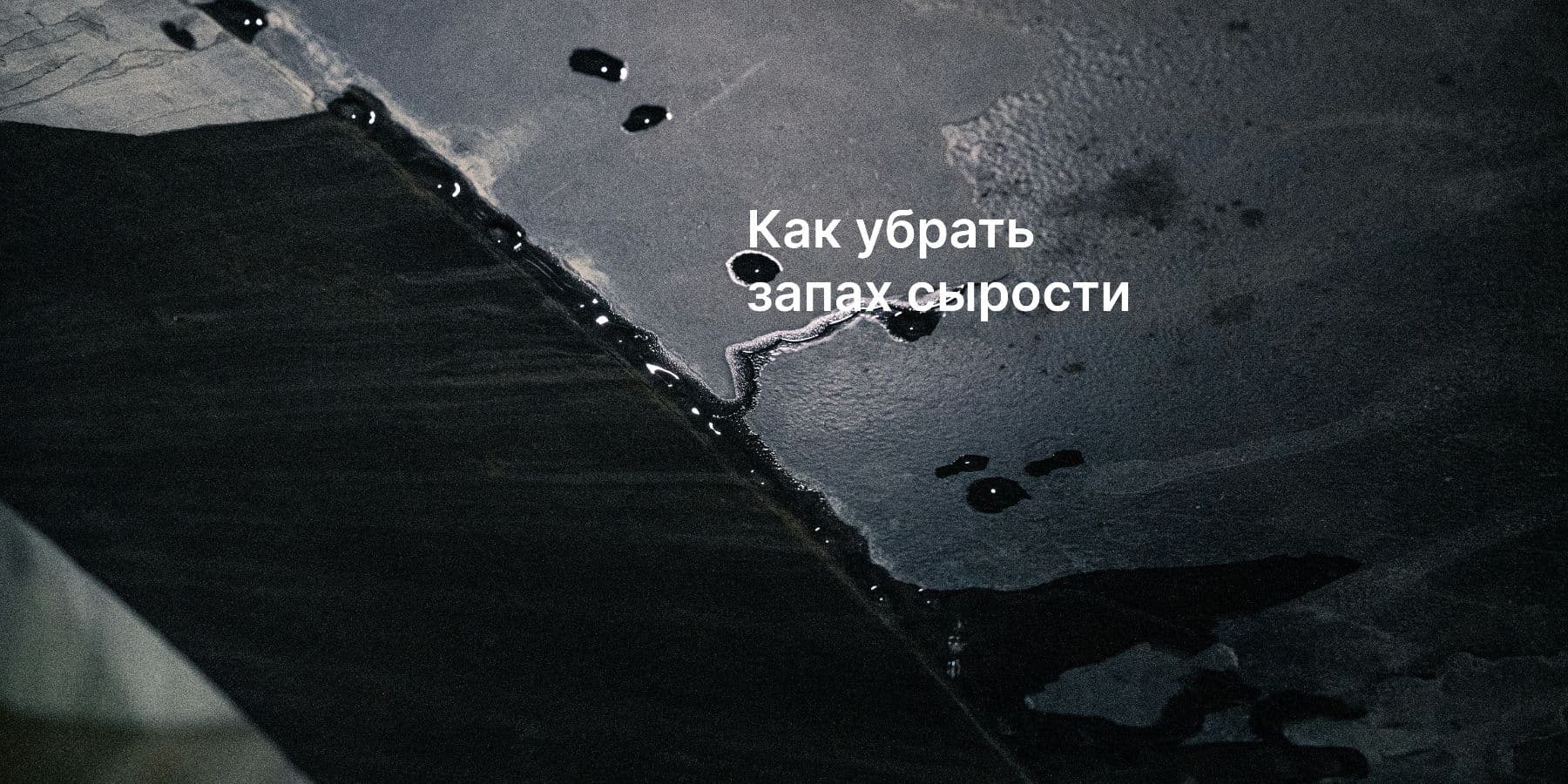 Как навсегда избавиться от запаха сырости в доме