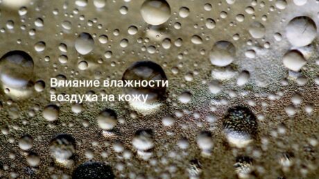 Как уровень влажности влияет на состояние кожи