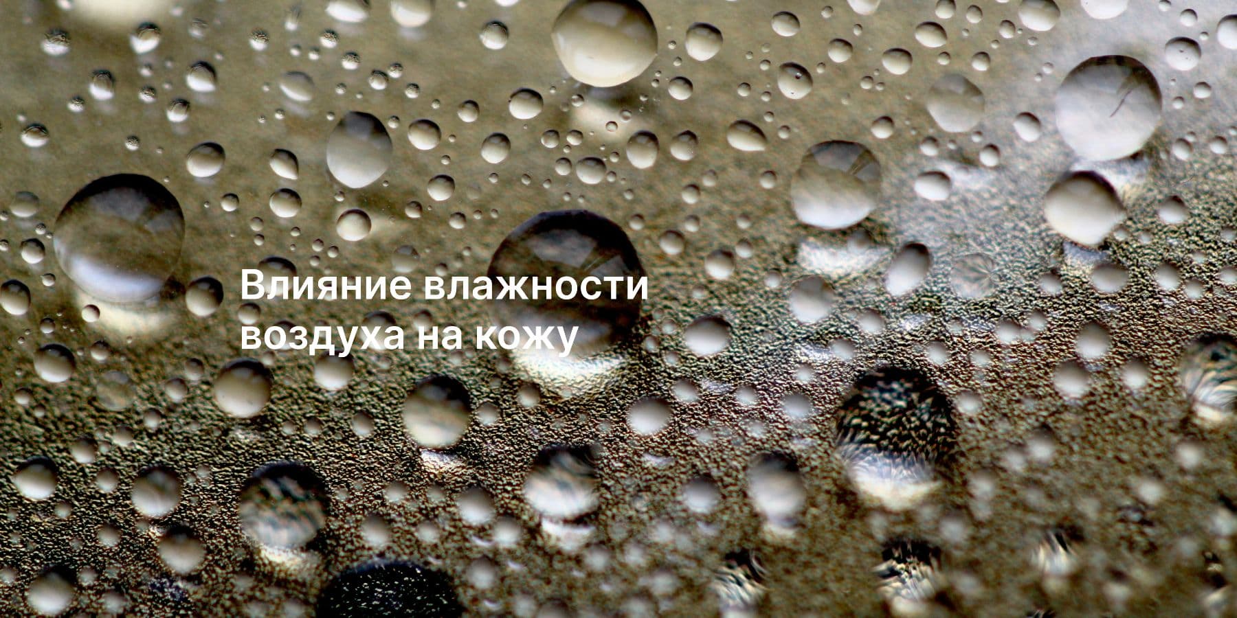 Как уровень влажности влияет на состояние кожи