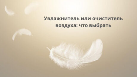 Что выбрать для квартиры: увлажнитель или очиститель воздуха – плюсы, минусы и советы 