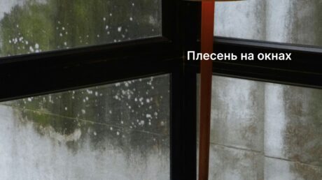 Почему появляется плесень на окнах и как от неё избавиться?