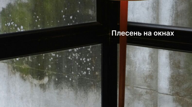 Почему появляется плесень на окнах и как от неё избавиться?