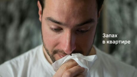 Эффективные способы убрать запах из квартиры навсегда