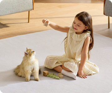 Smartmi Evaporative Humidifier 3 Lite