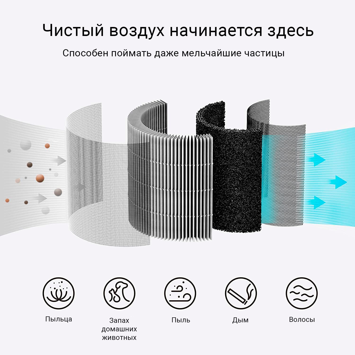 Air Purifier P1 Filter Pollen.jpg Air Purifier P1 Filter Pollen.jpg