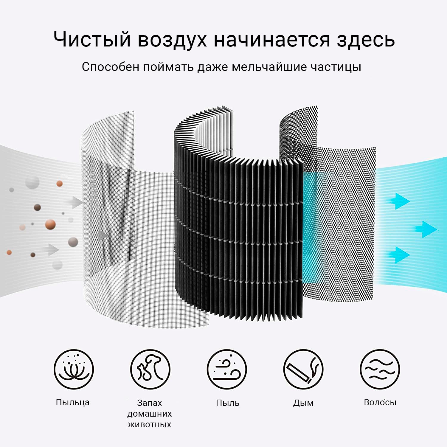 Air Purifier P1 Filter Pollen.jpg Air Purifier P1 Filter Pollen.jpg