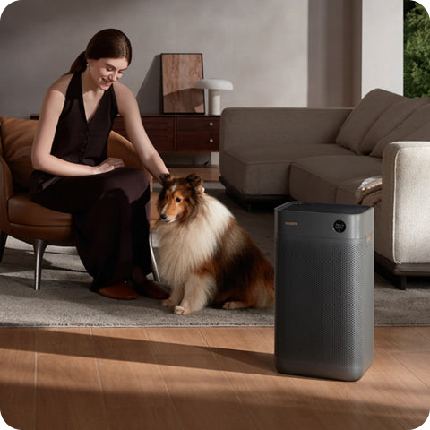 SmartMi Air Purifier 3