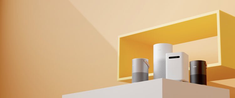О компании Smartmi